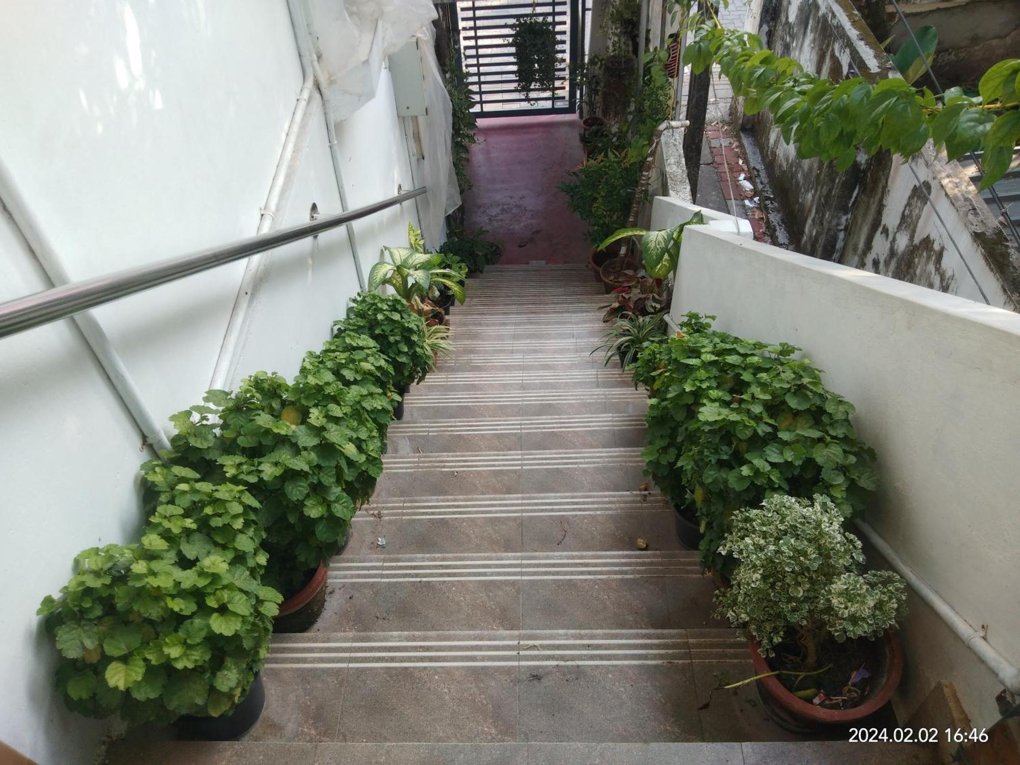 Heather Home Stay Kochi Exteriér fotografie